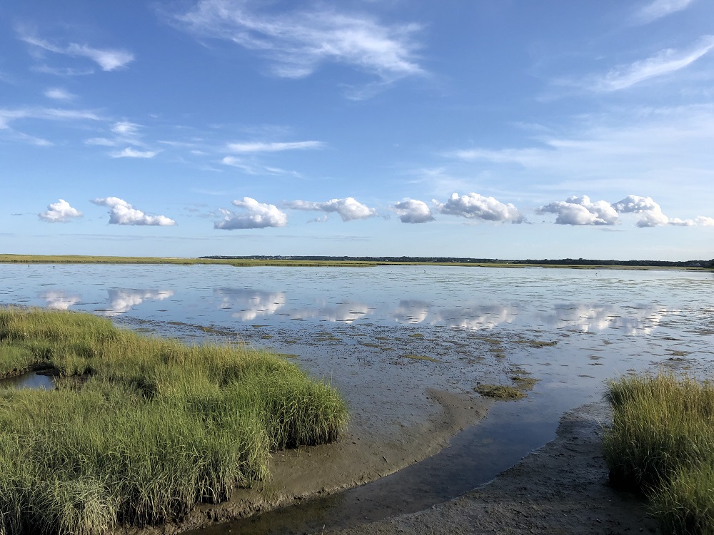 Reflections of HOPE with our National Advisory Board