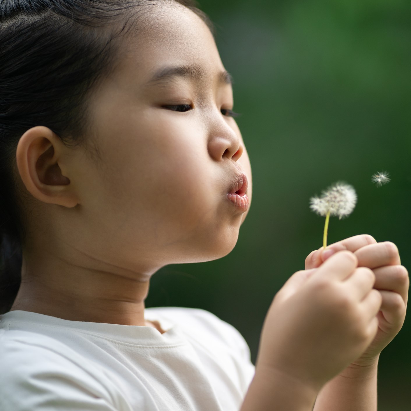 Child Blowing Away Dandelion Young girl blowing on a dandelion.